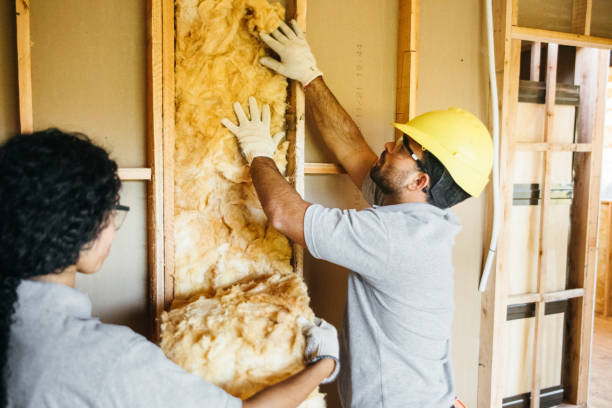 Best Professional Insulation Contractor  in Fort Drum, NY