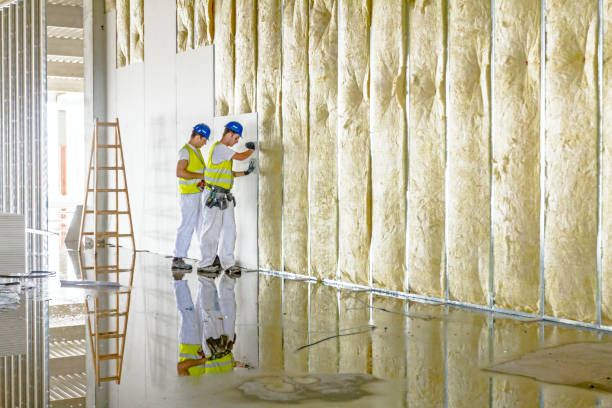 Best Insulation Repair Services  in Fort Drum, NY